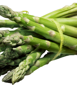 Asparagus