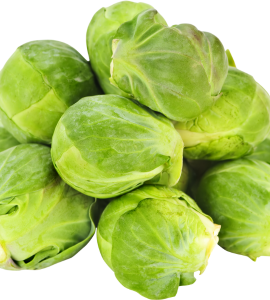 Brussel Sprout