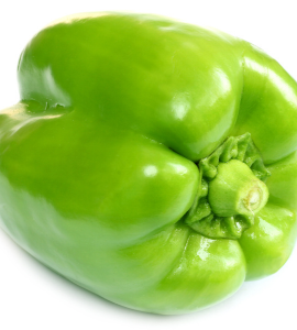 Capsicum