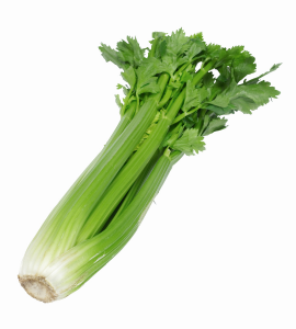 Celery