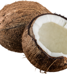 Coconut