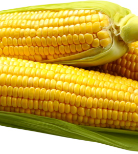 Corn