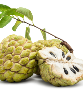 Custard Apple