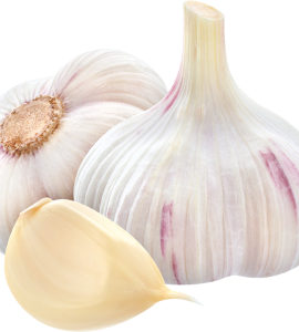 Garlic