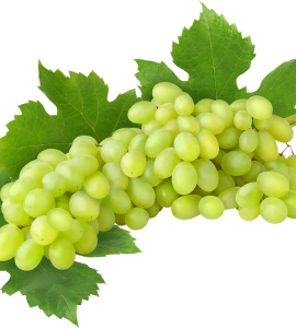 Grapes