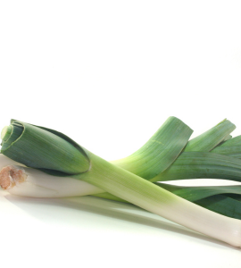 Leek