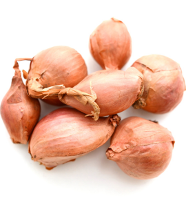 Onion Shallots