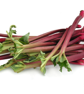 Rhubarb