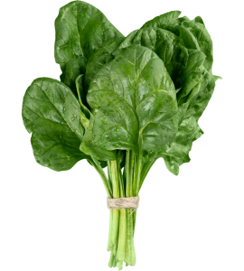 Spinach