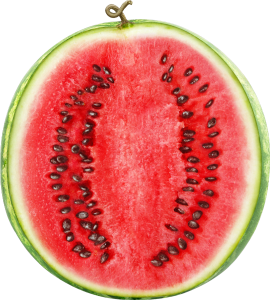 Half Watermelon